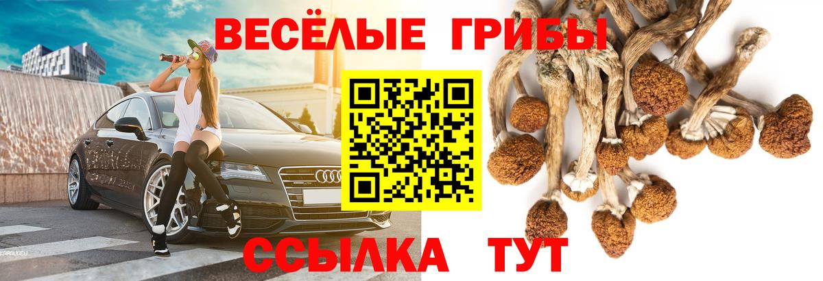 Галлюциногенные грибы мухоморы Шелехов