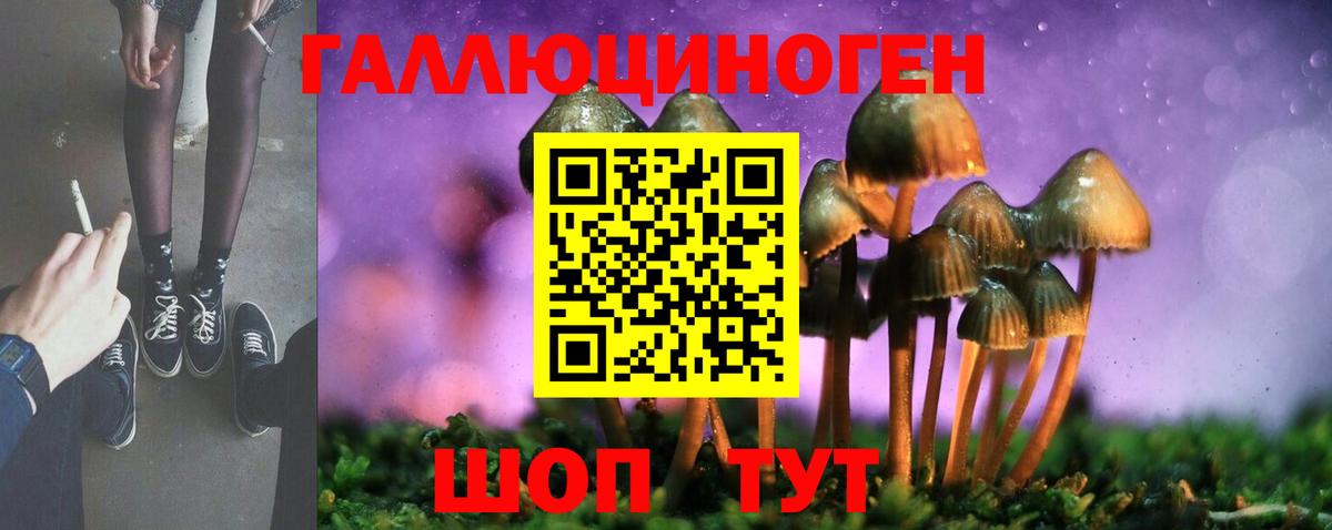 Шелехов  Псилоцибиновые грибы мухоморы  Вход с VPN 