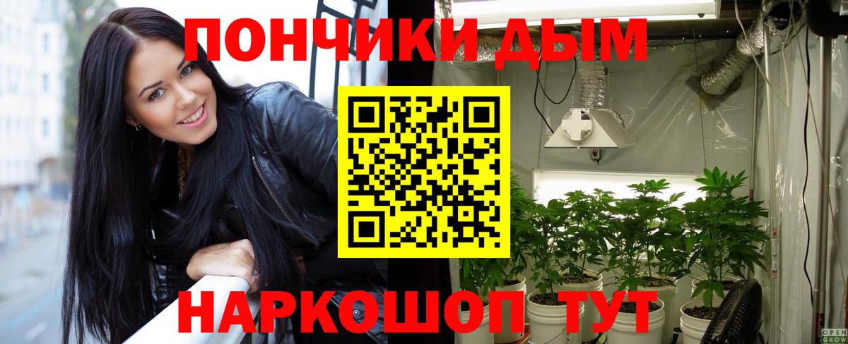 Шелехов  Шишки марихуана семена  Вход с VPN  Каннабис гибрид  Шишки марихуана гибрид 